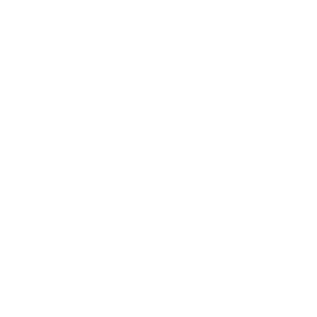 sap (1)